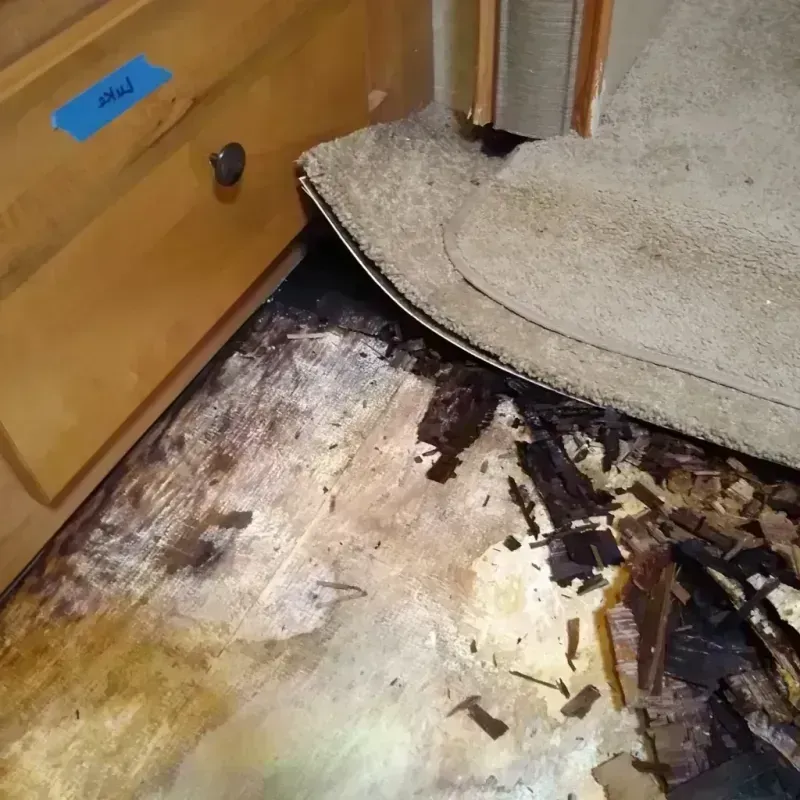 Best Wood Floor Water Damage Service in Dodge City, KS